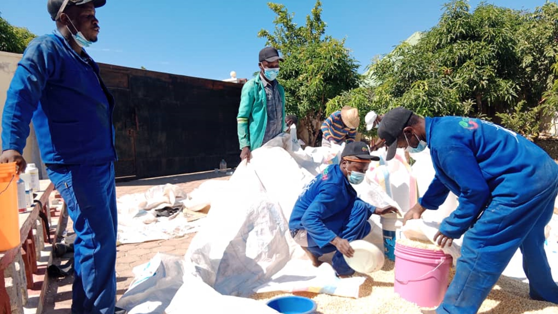Professional Fumigation and Pest Control Services in Malawi